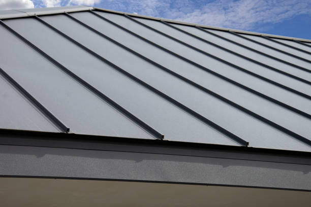 Best Sheet Metal Roofing  in Paulsboro, NJ