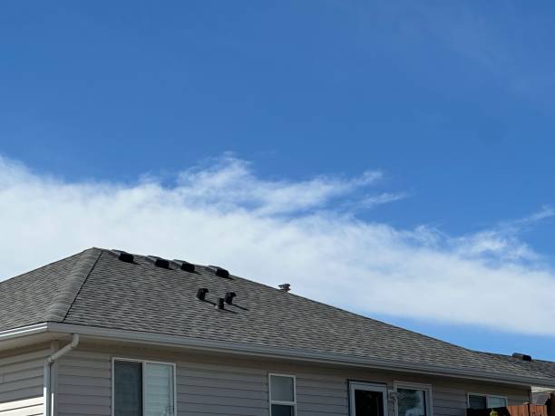 Best Metal Roofing Installation  in Paulsboro, NJ